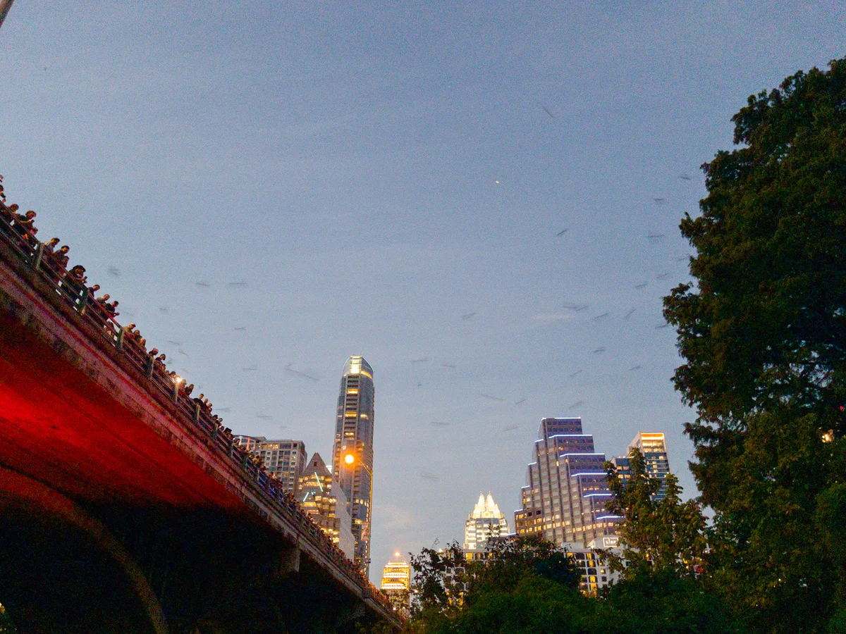 20260925-29-USA1511.jpg
